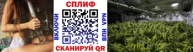 KRAKEN ТОР  Любим  Канабис гибрид 